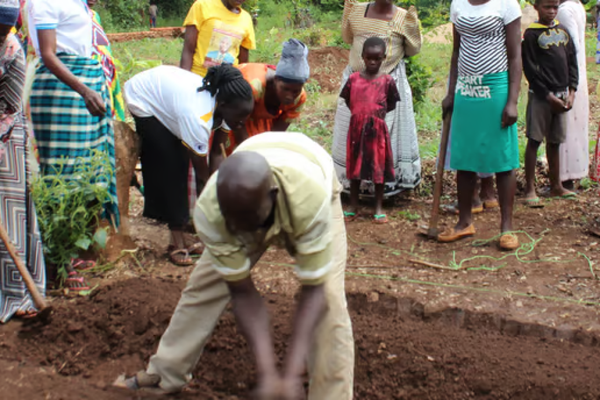 Examination of the Rural Farmers' Challenges