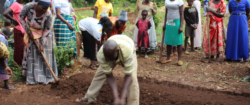 Examination of the Rural Farmers' Challenges