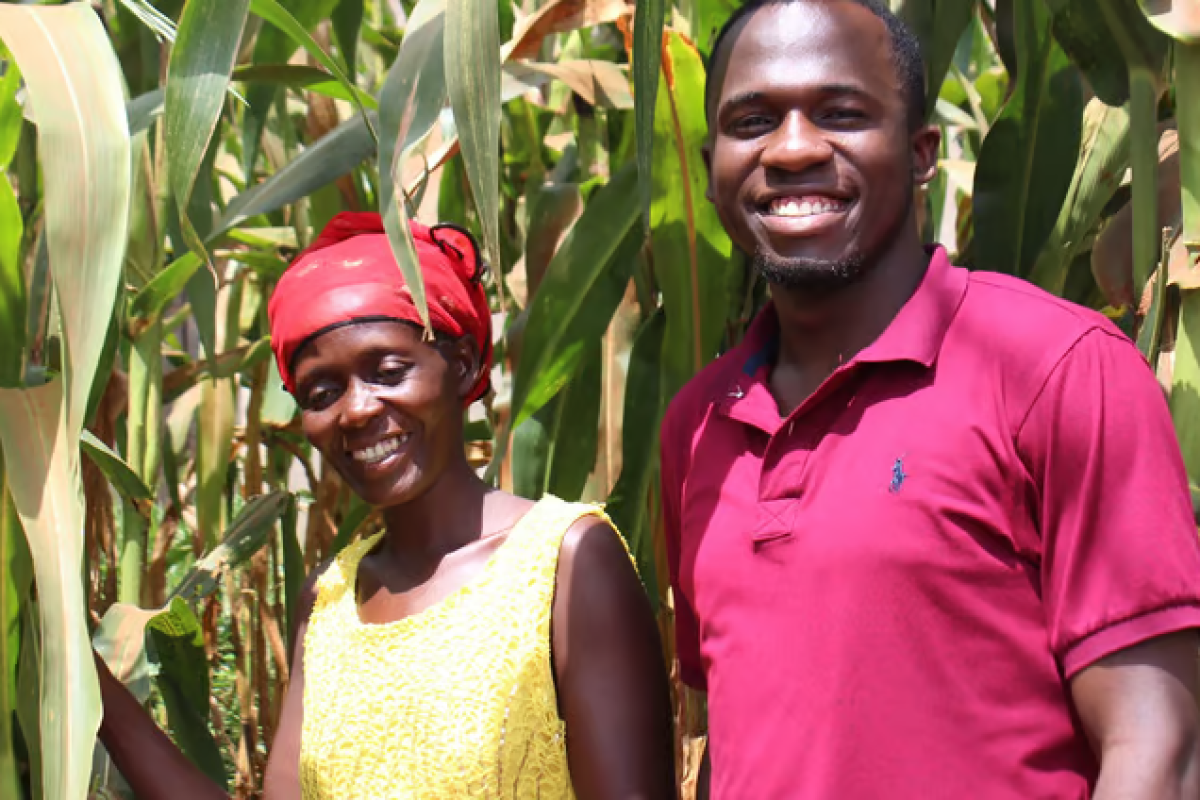 Uneven Distribution for Rural Farmers' Empowerment