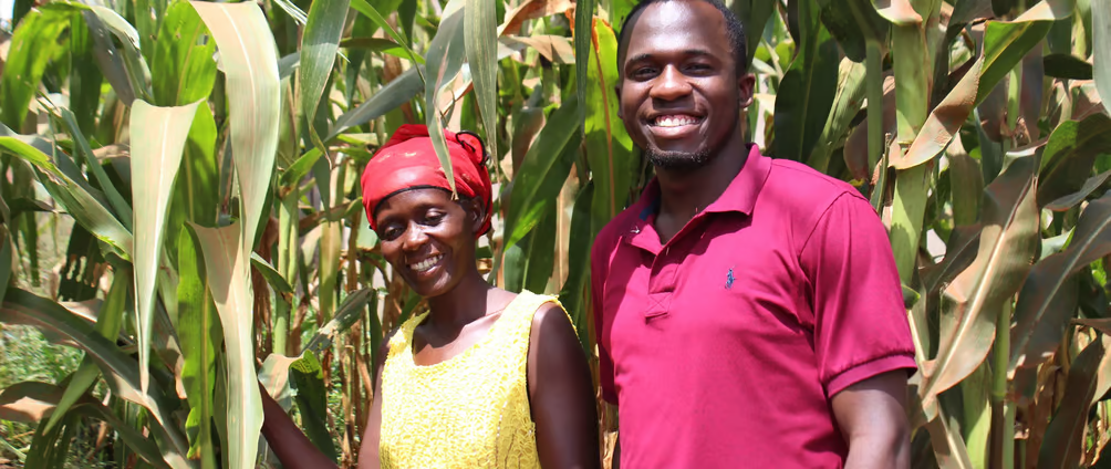 Uneven Distribution for Rural Farmers' Empowerment