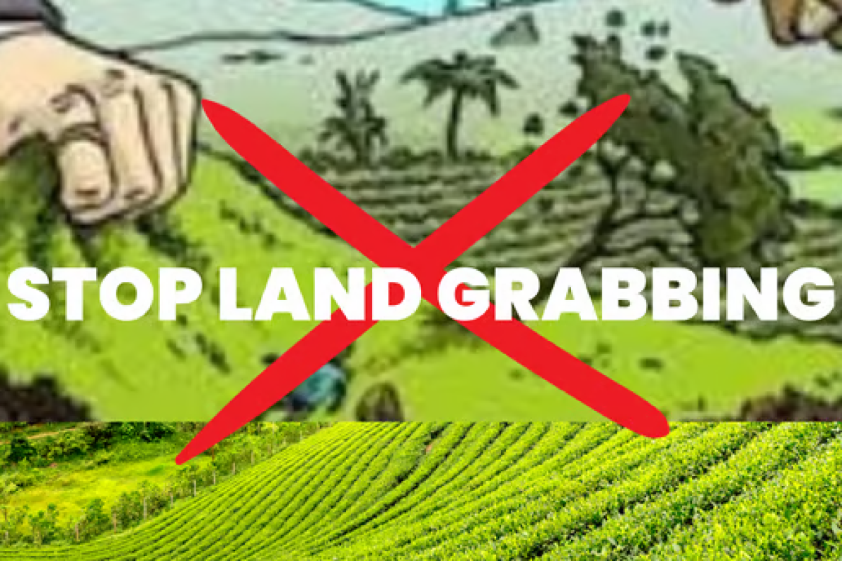 Land Issues versus Productivity